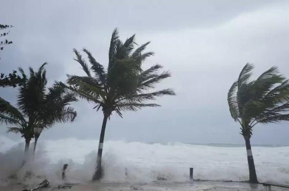 Olas en malecon